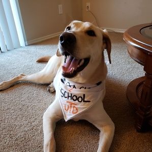 Meet your Posher, Mark